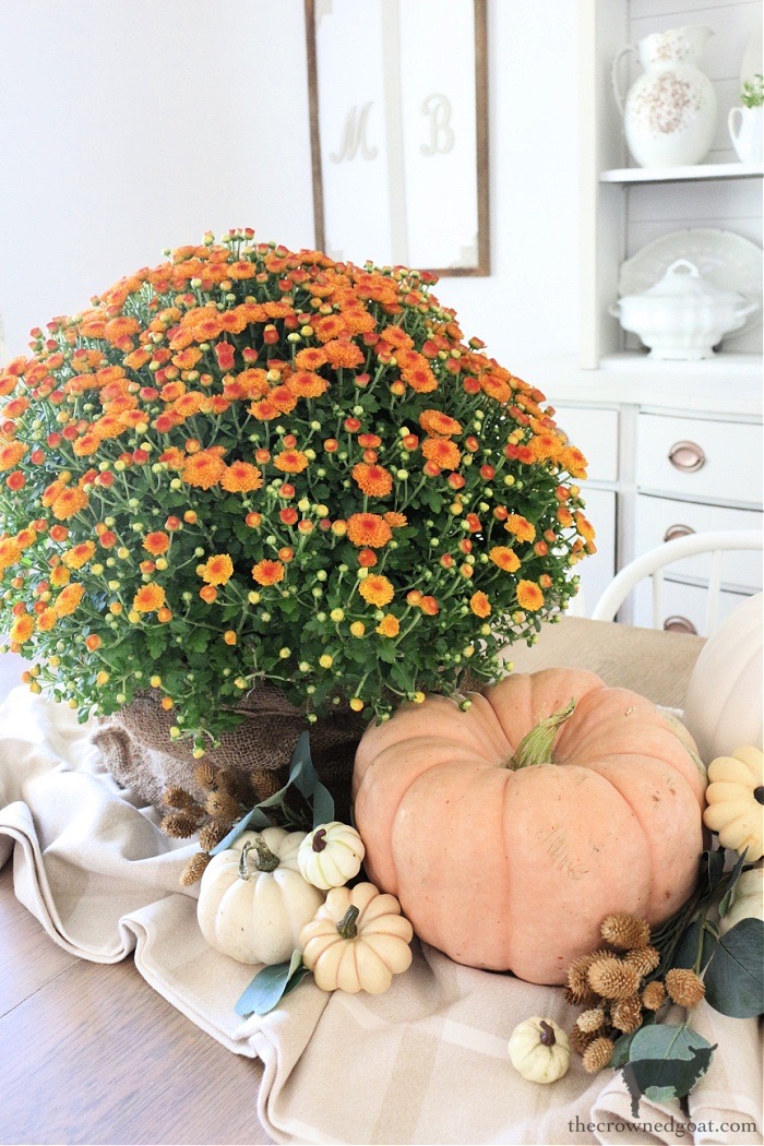 Simple Ways to Celebrate Fall Home Tour