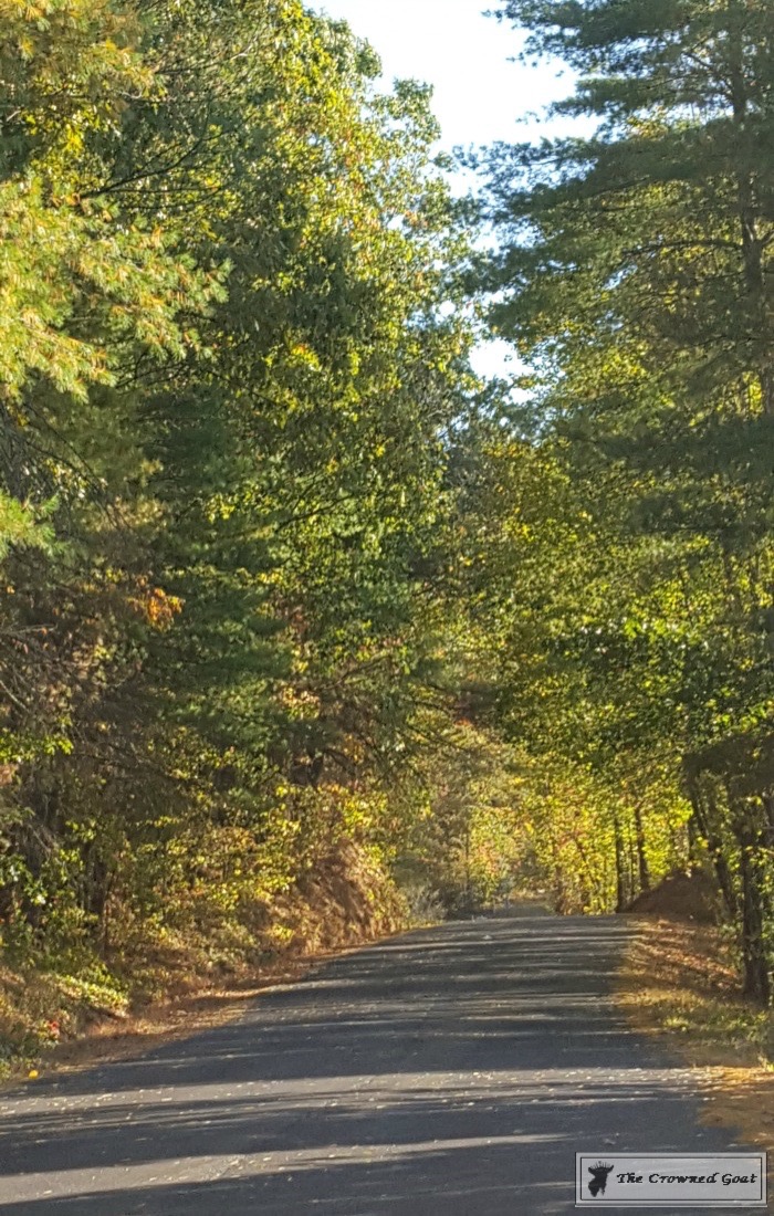 Fall in Blue Ridge
